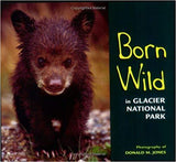 Born Wild Books