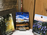 The Montana Way Necklace