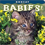 Babies Book Series