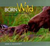 Born Wild Books