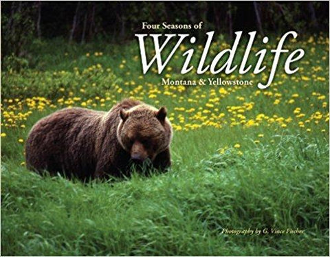 Four Seasons of Wildlife Montana & Yellowstone